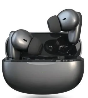 True Wireless Earbuds — AP-75