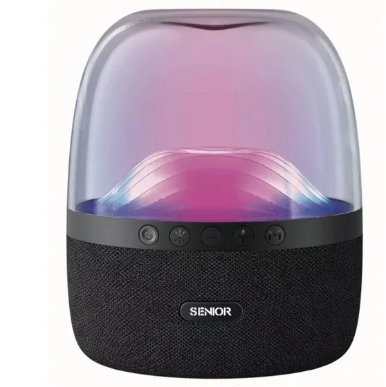 Ambient-Light Bluetooth Speaker 10W — R-810